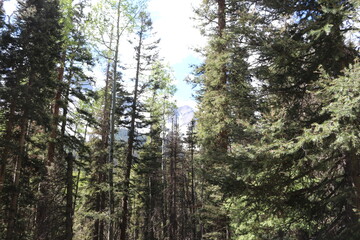 Fototapeta premium Mount Sneffels blue lake trail Ridgway Colorado