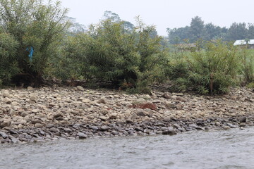 Stone of sangu at Bandarban