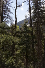 Mount Sneffels blue lake trail Ridgway Colorado