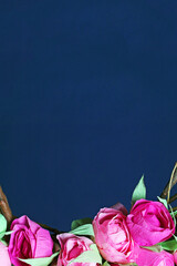 The Part of the Wreath from Pink Flowers Bottom Side on a Dark Blue Background