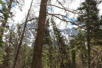 Mount Sneffels blue lake trail Ridgway Colorado