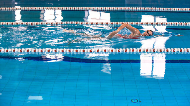 Young woman swimmer is swimming in the pool. Freestyle stroke, front crawl stroke. Swimming in blue pool, side view