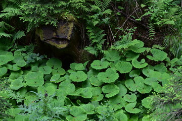 Nature
