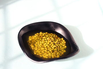 Green bean seeds soaked in a black bowl. Healthy soaked green gram, Green gram in a black bowl on isolated background, green mung beans in water