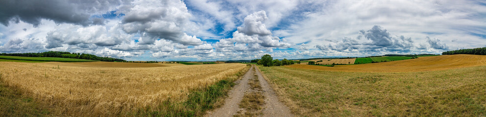 Obraz premium Panorama on fields with a blue sky and white clouds in the background
