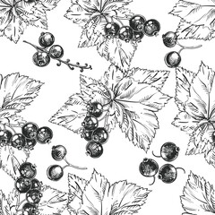 Detailed hand drawn black and white vector seamless pattern of berry, cane fruit. sketch. Elements blackcurrant in graphic style label, card, sticker, menu, package. - obrazy, fototapety, plakaty