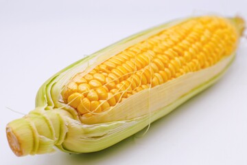 収穫したとうもろこし