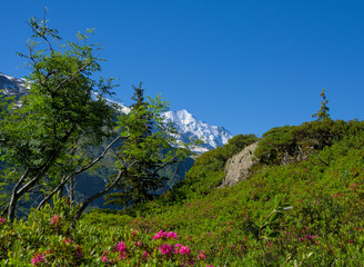 Amazing view on the Mont Blanc