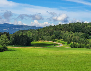 Fototapeta na wymiar Idyllic landscape in the bavarian alps with fresh green meadows and fir trees, Bodenmais, bavarian forest, germany