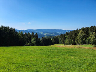 Fototapeta na wymiar Idyllic landscape in the bavarian alps with fresh green meadows and fir trees, Zwiesel, bavarian forest, germany
