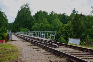 Fototapeta na wymiar Old railway bridge over the river in the forest in the Nature Park Vishtynetskiy