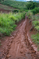 Obraz premium Muddy road with adventure to the forest in rainy season. Off road track. The road was filled with mud. When it rains, making dirt roads on the mountain as mud.