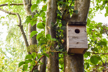 Wooden bird box attached to a tree in a garden