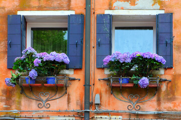 Fototapeta na wymiar Venetian windows with flowers
