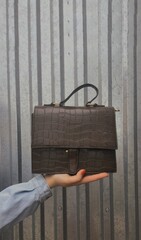 hand holding a suitcase