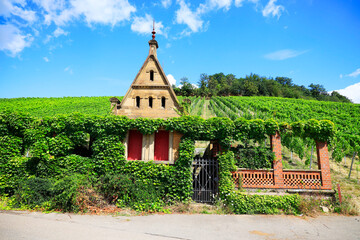 Beautiful Building in a Vineyard at the Wartberg, Heilbronn, Germany, Europe