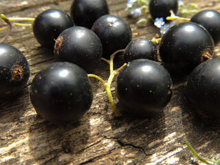 currant berries close-up.macro mode