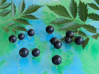 ripe currant berries are scattered on the glass.