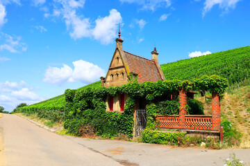 Beautiful Building in a Vineyard at the Wartberg, Heilbronn, Germany, Europe