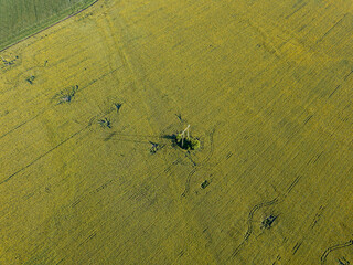Power line through a green field of sunflowers. Aerial drone view.