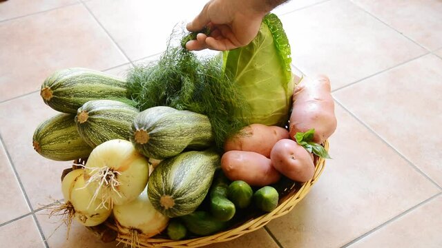 hand holding a basket of vegetables, observing if they are good