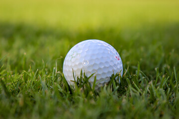 Szenen aus dem Sport Golf. Golfplatz Impressionen bei schönem Wetter.
