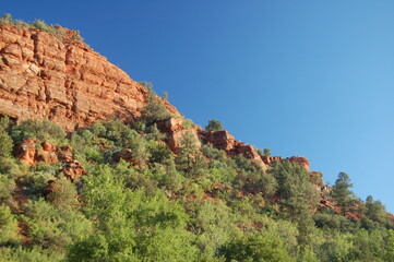 Fototapeta na wymiar Arizona Red rocks