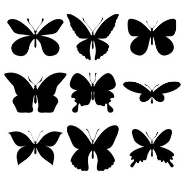 Vector set of isolated butterflies silhouettes