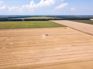 Aerial drone view. The harvester harvests wheat in the Ukrainian field.