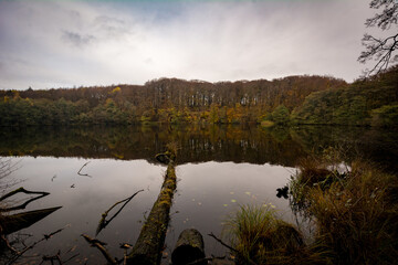 Enchanted autumn lake with dead branches on a still overcast day. Sky and forest are reflected in the still surface.