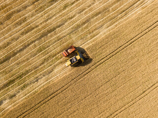 Aerila drone view. The harvester pours the wheat crop into the truck.