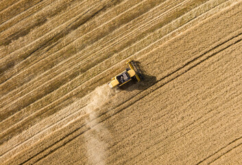 Aerial drone view. The harvester harvests wheat in the Ukrainian field.