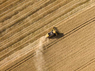Aerial drone view. The harvester harvests wheat in the Ukrainian field.