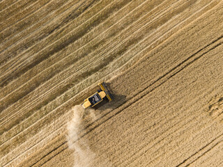 Aerial drone view. The harvester harvests wheat in the Ukrainian field.