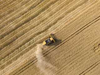 Aerial drone view. The harvester harvests wheat in the Ukrainian field.