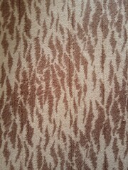 Tiger pattern on the carpet background