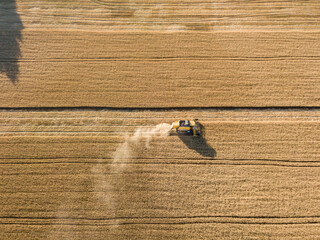 Aerial drone view. The harvester harvests wheat in the Ukrainian field.