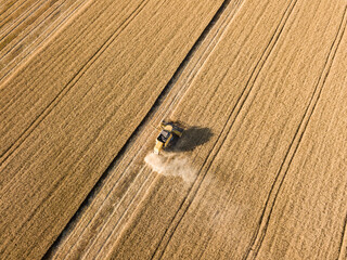 Aerial drone view. The harvester harvests wheat in the Ukrainian field.