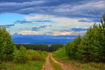 Fototapeta premium Summer landscape. A sandy country road leads to a dark pine forest on the horizon. Very colorful sky with clouds.