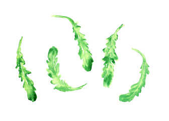 Obraz premium Hand drawn watercolor food sketch