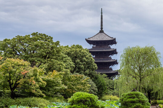 TōJi Images Browse 10 Stock Photos, Vectors, and Video Adobe Stock