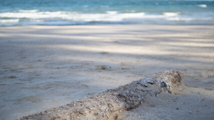 old wood on the beach