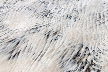 Abstract forms in the sand - Brazil.