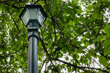 A tall lamp post on the road side with green trees on the background.