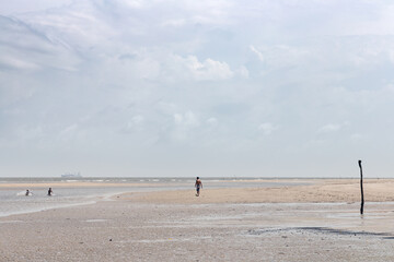 Fototapeta na wymiar Fresh water beachs in Soure, Brazil.