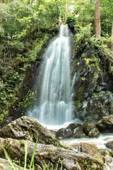 Beautiful waterfall in the forest in pure nature