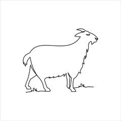 goat line draw coloring animal vector