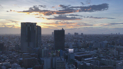 Fototapeta premium 東京 眺望