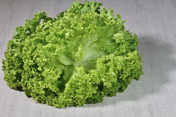 isolated head of fresh lettuce close up