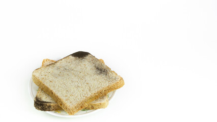 Two square slices of bread placed on a fungal infection plate, on isolated white background.